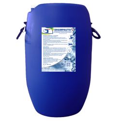 SHAMPAUTO