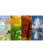 PIB-TECH (29) : Insecticides, Entretien Extérieur & Dégivrants Pro