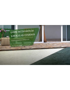 PIB-TECH (29) : Nettoyant Extérieurs Pro, Anti-Mousse Toiture et Façade Bretagne