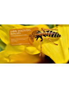 PIB-TECH : Insecticides, Rodonticides Pro - Finistère