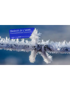 PIB-TECH Firchim : Antigel, Déneigeant PRO Finistère (29)