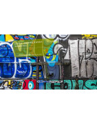 PIB-TECH : Décapants Peintures & Anti-Graffitis Pro - le Finistère